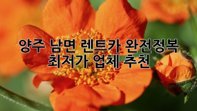 양주 남면 렌트카 완전정복! 🚗💨 최저가 업체 추천